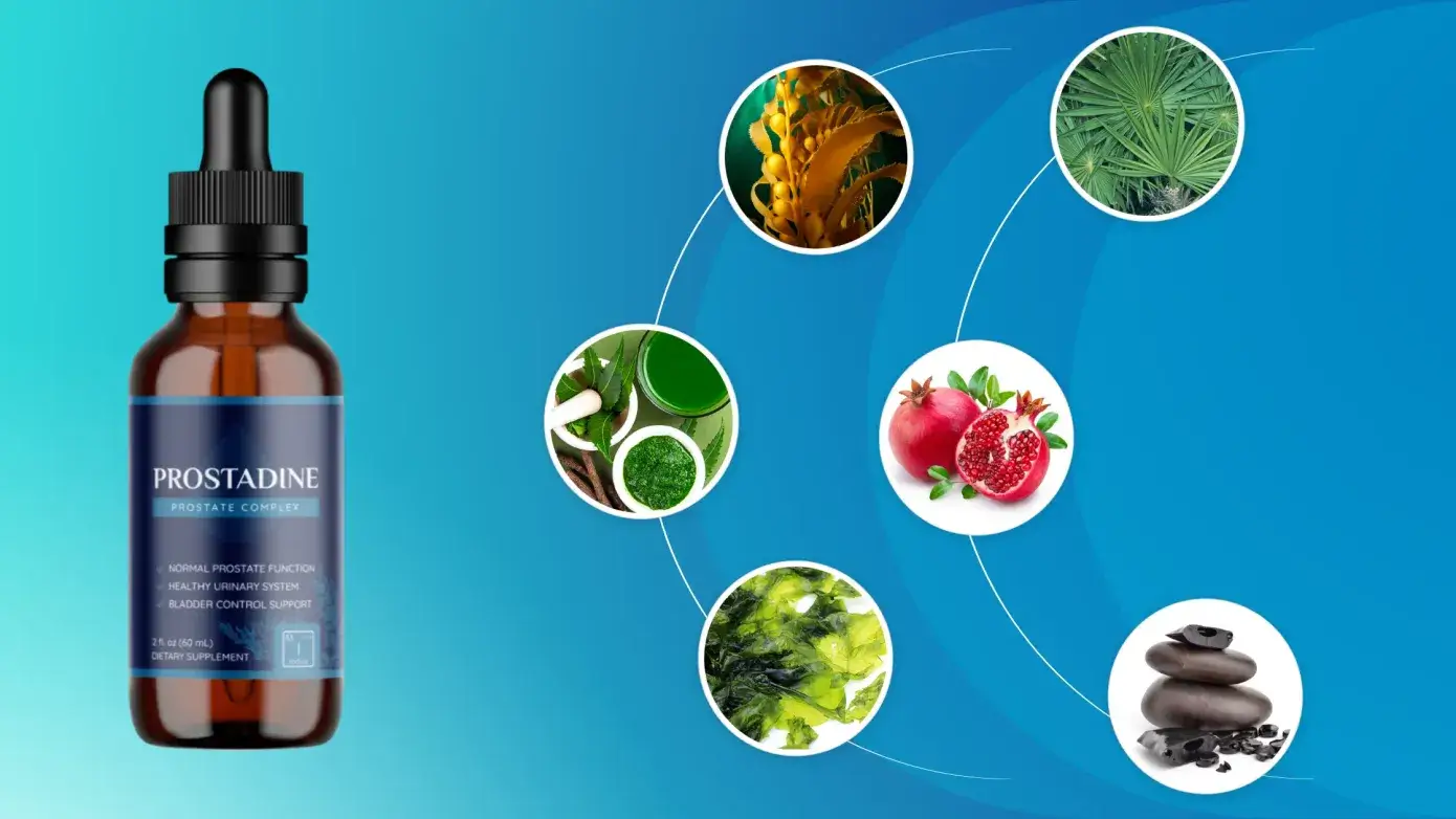 Prostadine Prostadine Ingredients